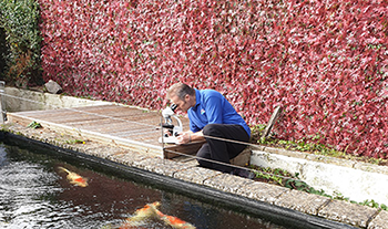 Pond and Koi Specialists in East Sussex Koi and Pond Services