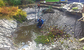 Pond and Koi Specialists in East Sussex maintenance contracts