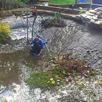 Pond & Koi Specialists in East Sussex maintenance contracts