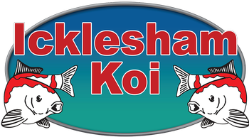 Pond and Koi Specialists selling East Sussex and Rye