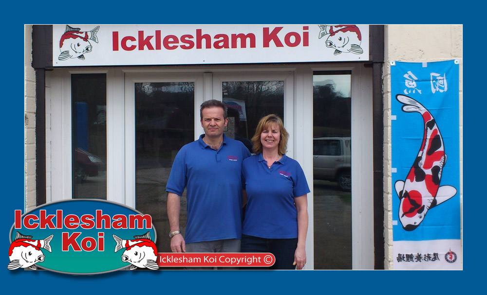 Gallery | Icklesham Koi | Pond and Koi Specialists in East Sussex gallery image 1
